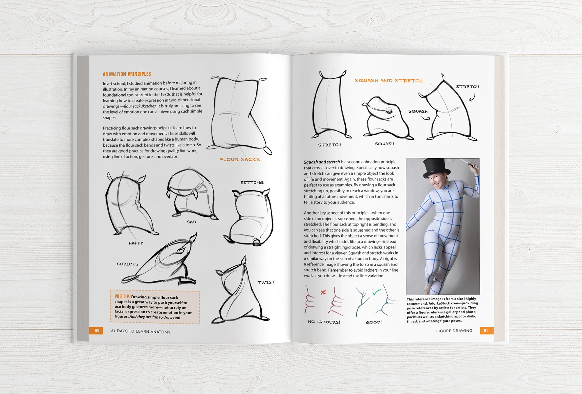 21 Days to Learn Anatomy - Image 10