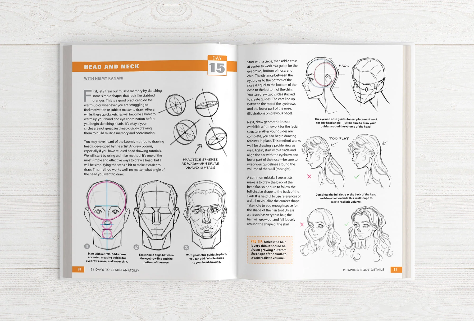 21 Days to Learn Anatomy - Image 13