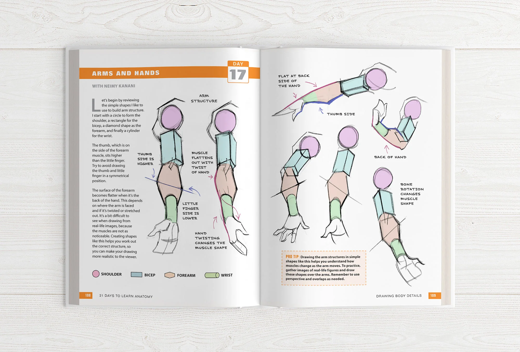 The Character Designer & 21 Days to Learn Anatomy (HARDCOVERS + EBOOKS) - Image 21