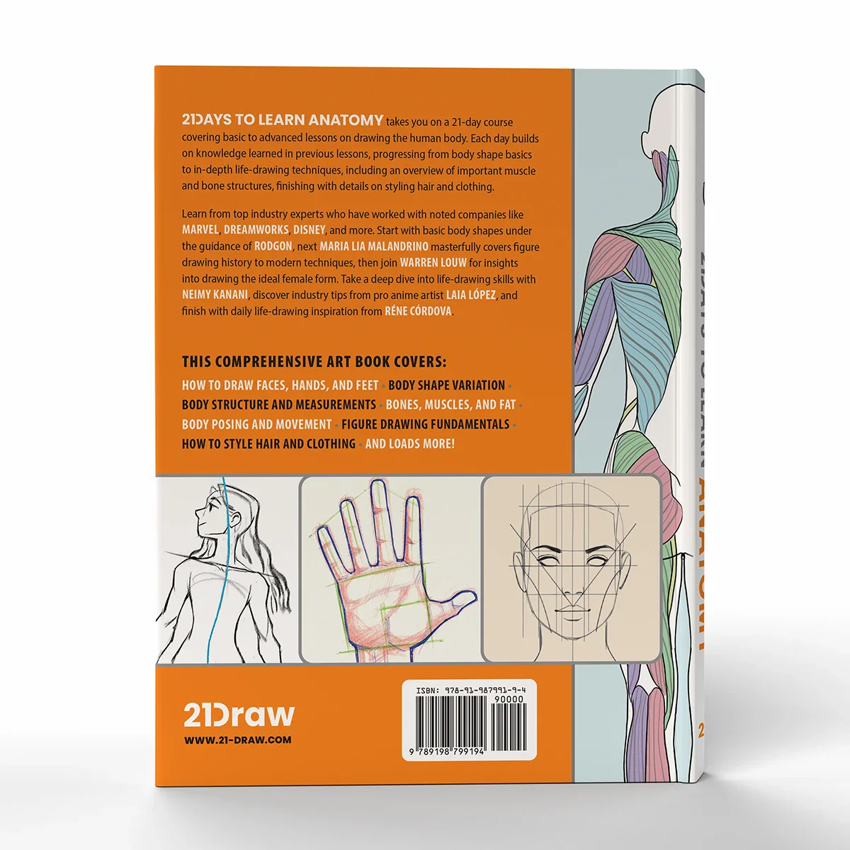 The Character Designer & 21 Days to Learn Anatomy (HARDCOVERS + EBOOKS) - Image 25