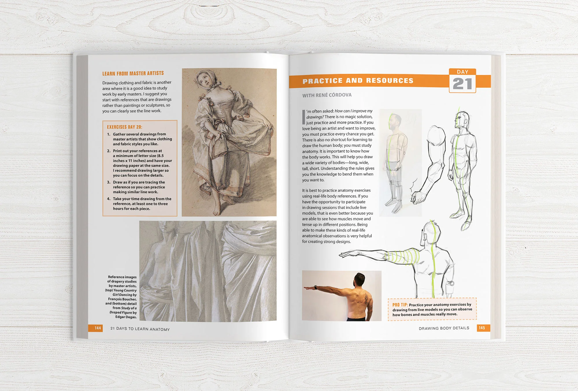 The Character Designer & 21 Days to Learn Anatomy (HARDCOVERS + EBOOKS) - Image 15