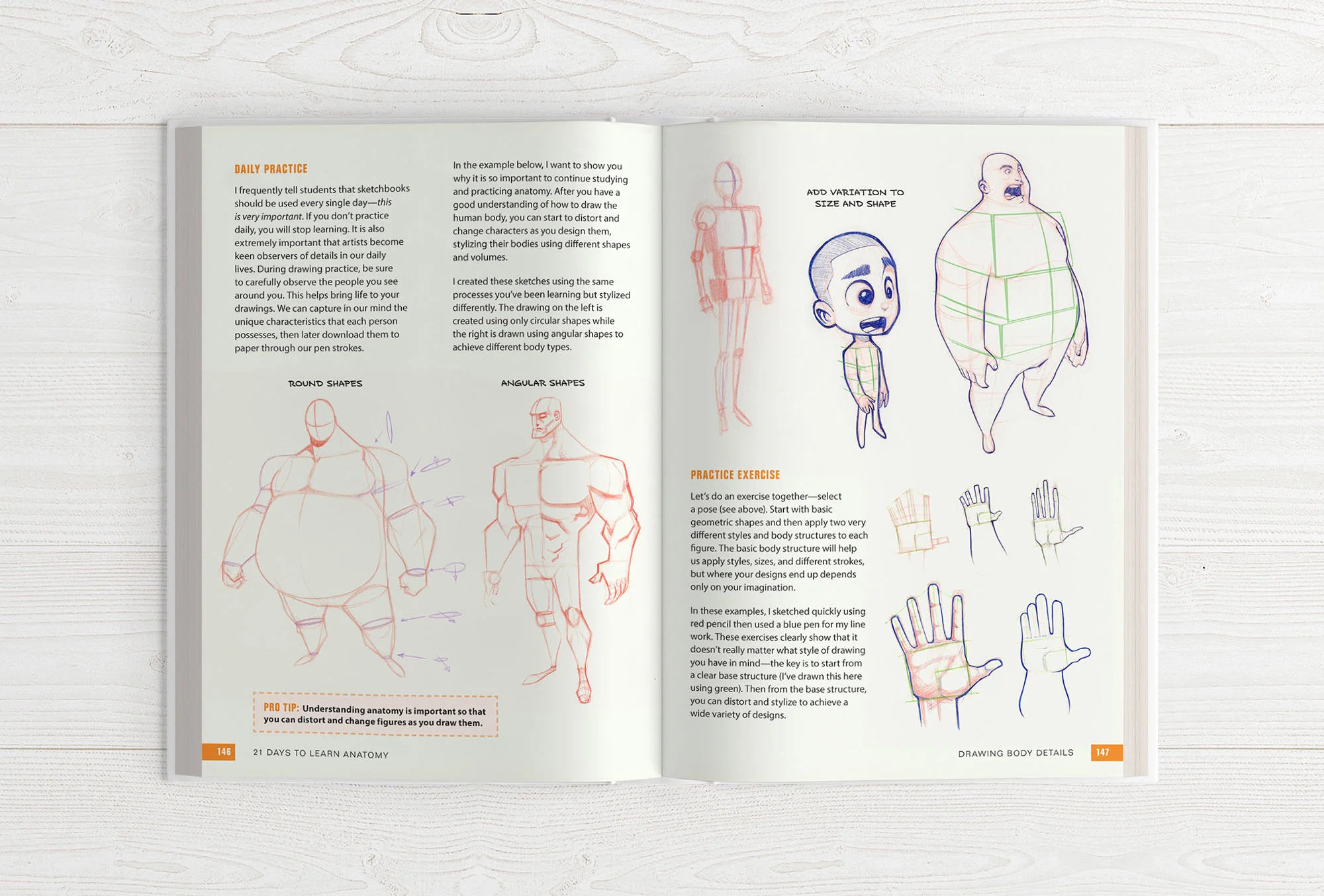 The Character Designer & 21 Days to Learn Anatomy (HARDCOVERS + EBOOKS) - Image 14
