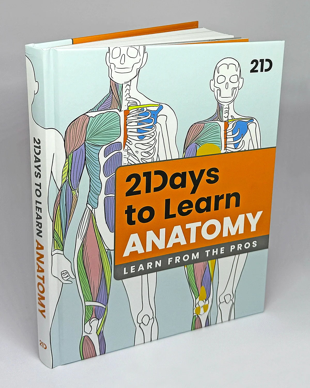 The Character Designer & 21 Days to Learn Anatomy (HARDCOVERS + EBOOKS) - Image 24