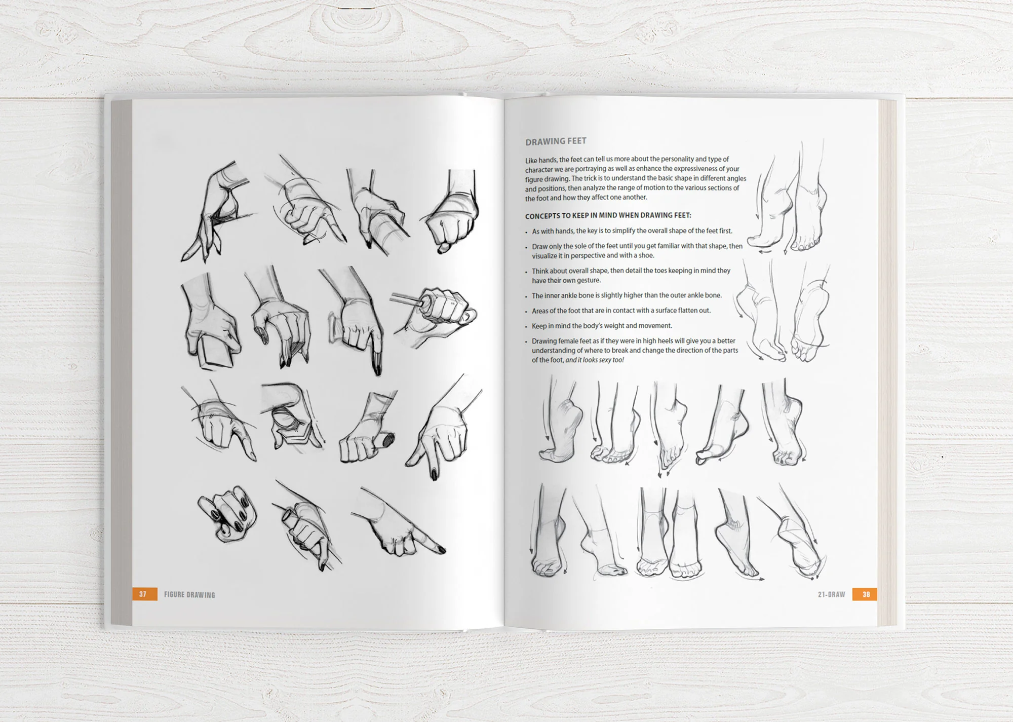 Illustrator's Guidebook 1 - Image 11
