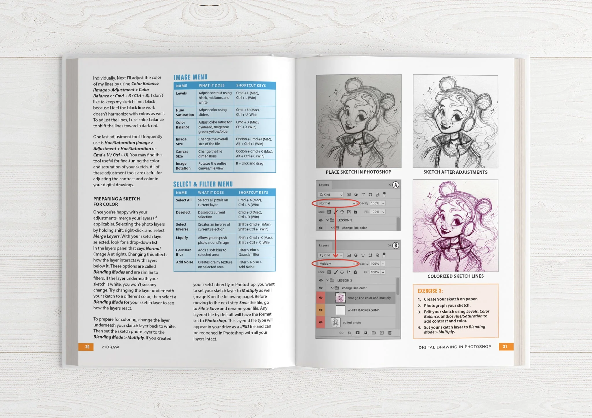 Illustrator's Guidebook 2 & 3 (HARDCOVER + EBOOKS) - Image 8