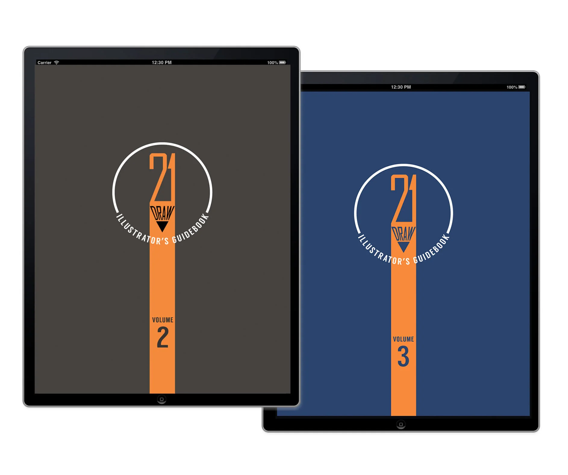 Illustrator's Guidebook 2 & 3