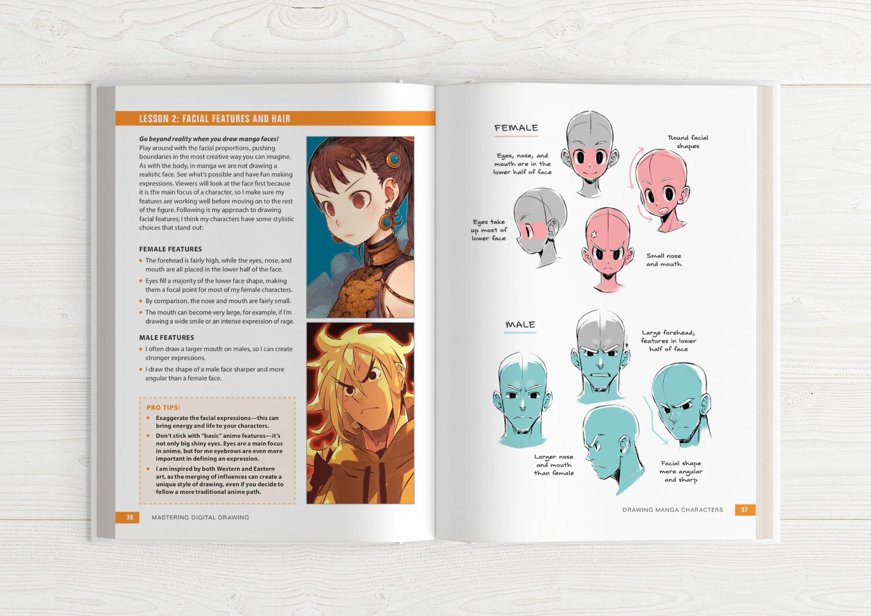 Mastering Digital Drawing - Image 10
