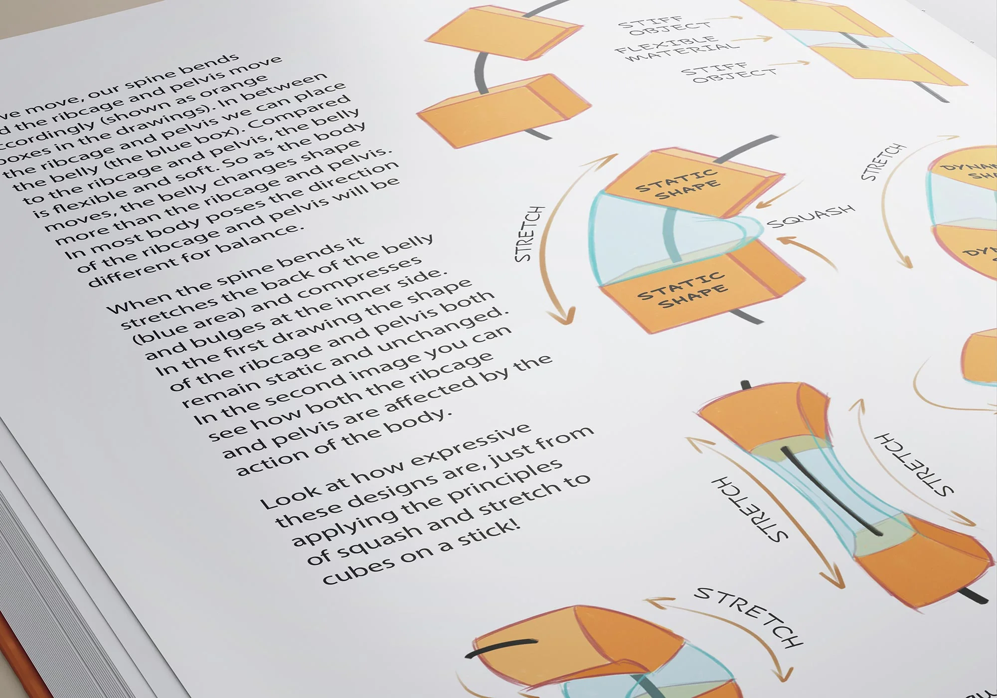 The Character Designer & 21 Days to Learn Anatomy (HARDCOVERS + EBOOKS) - Image 10