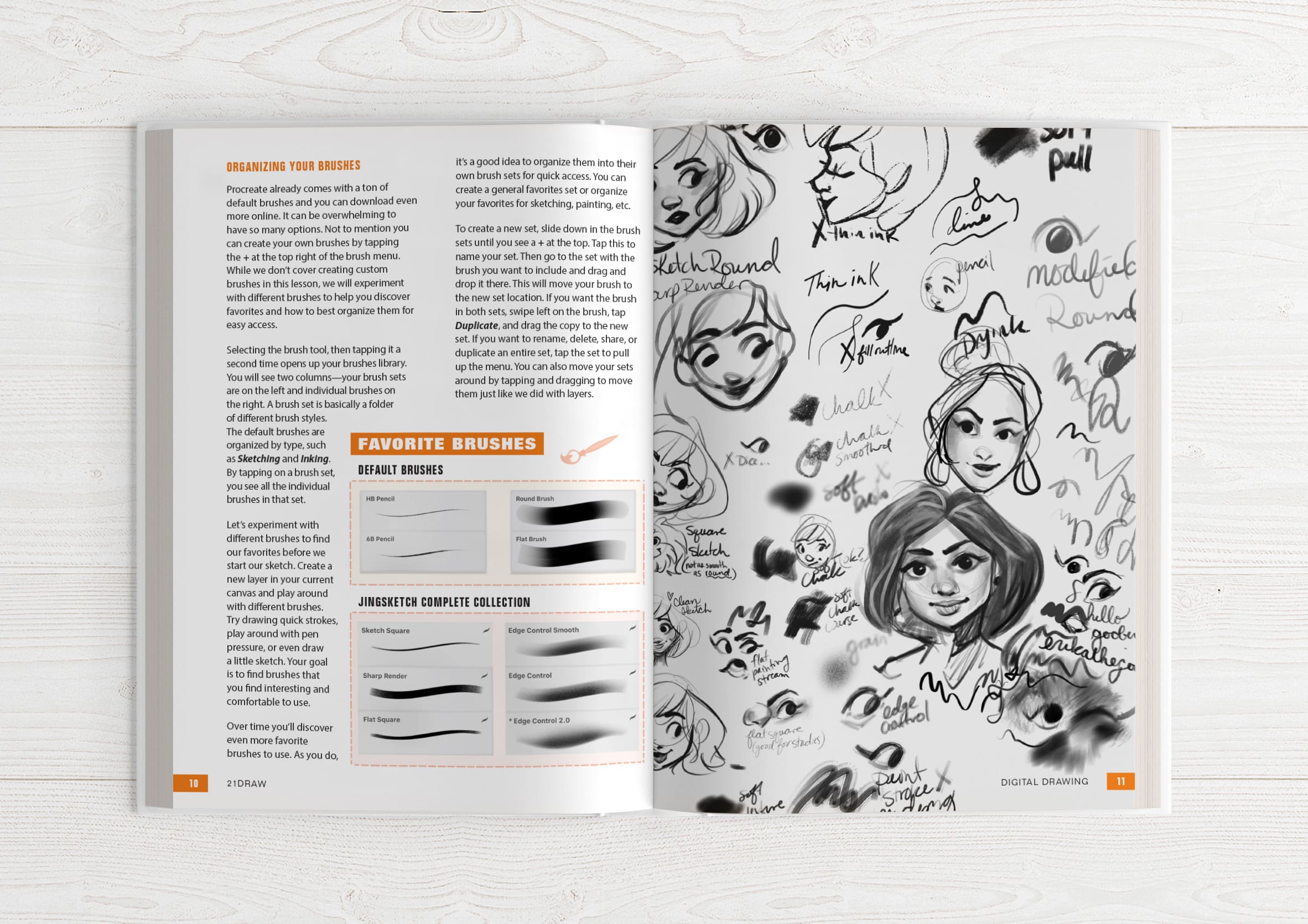 Illustrator's Guidebook 1 & 2 (HARDCOVER + EBOOKS) - Image 4