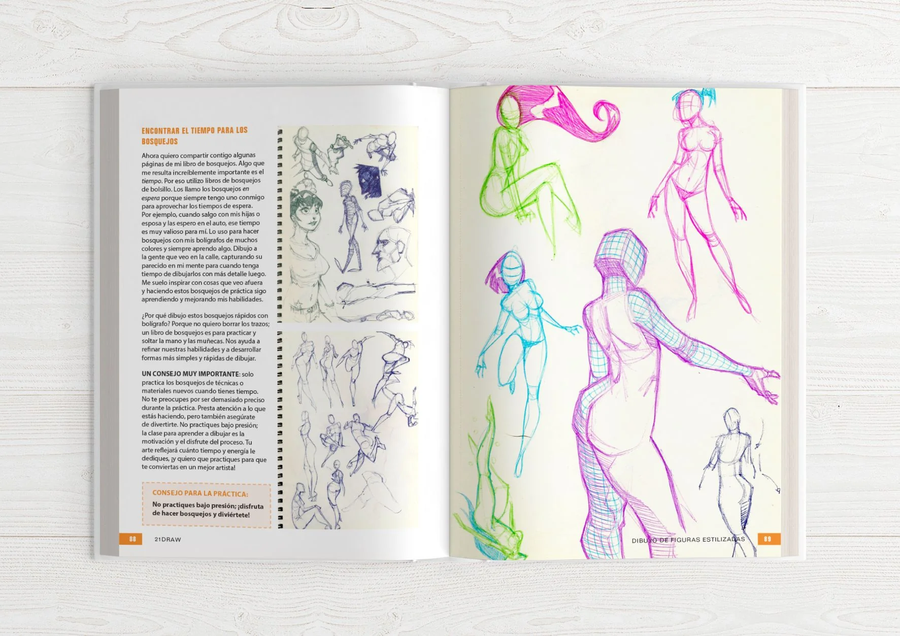 Guía del Ilustrador 1 & 2 - Image 13