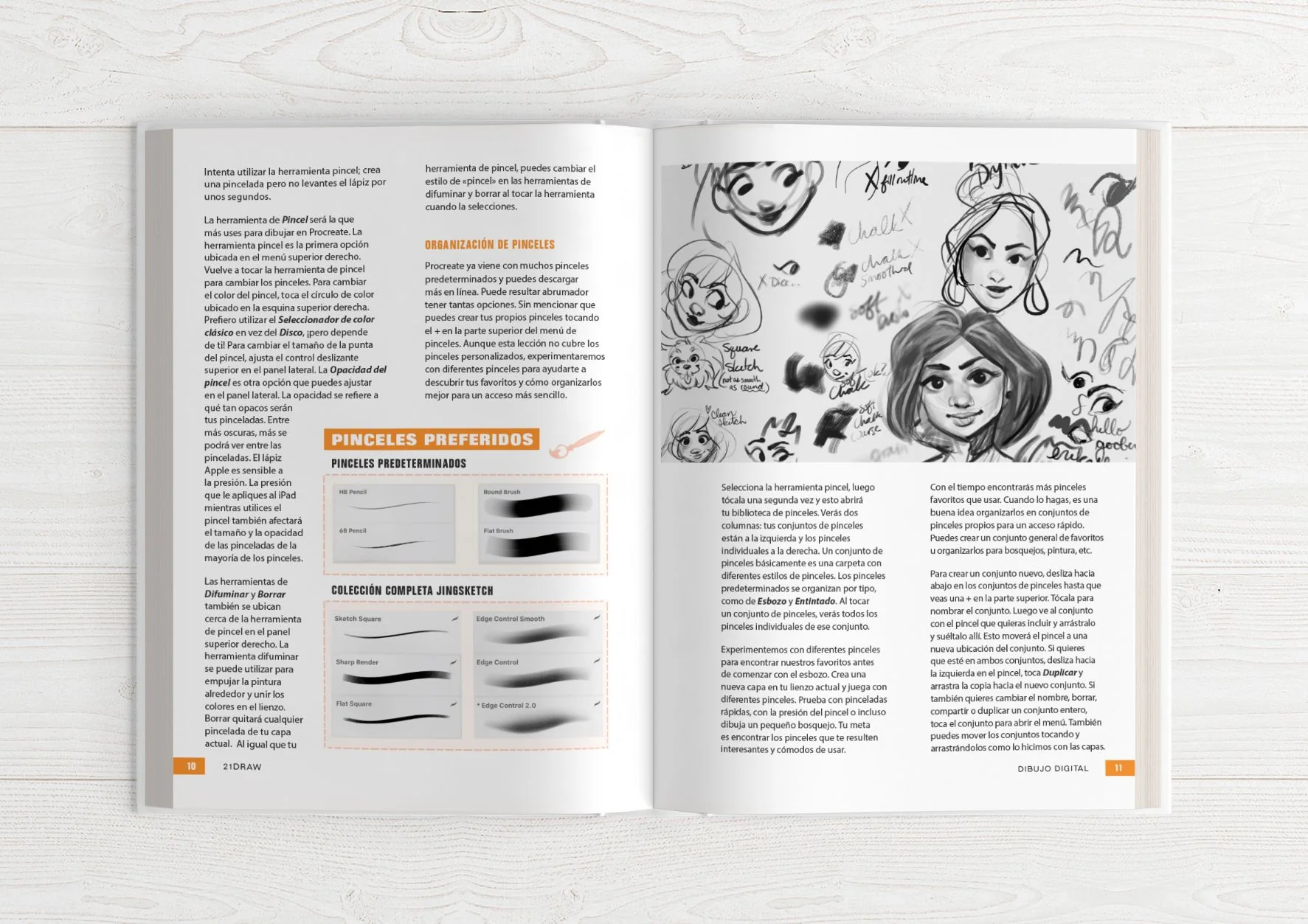 Guía del Ilustrador 1 & 2 - Image 6