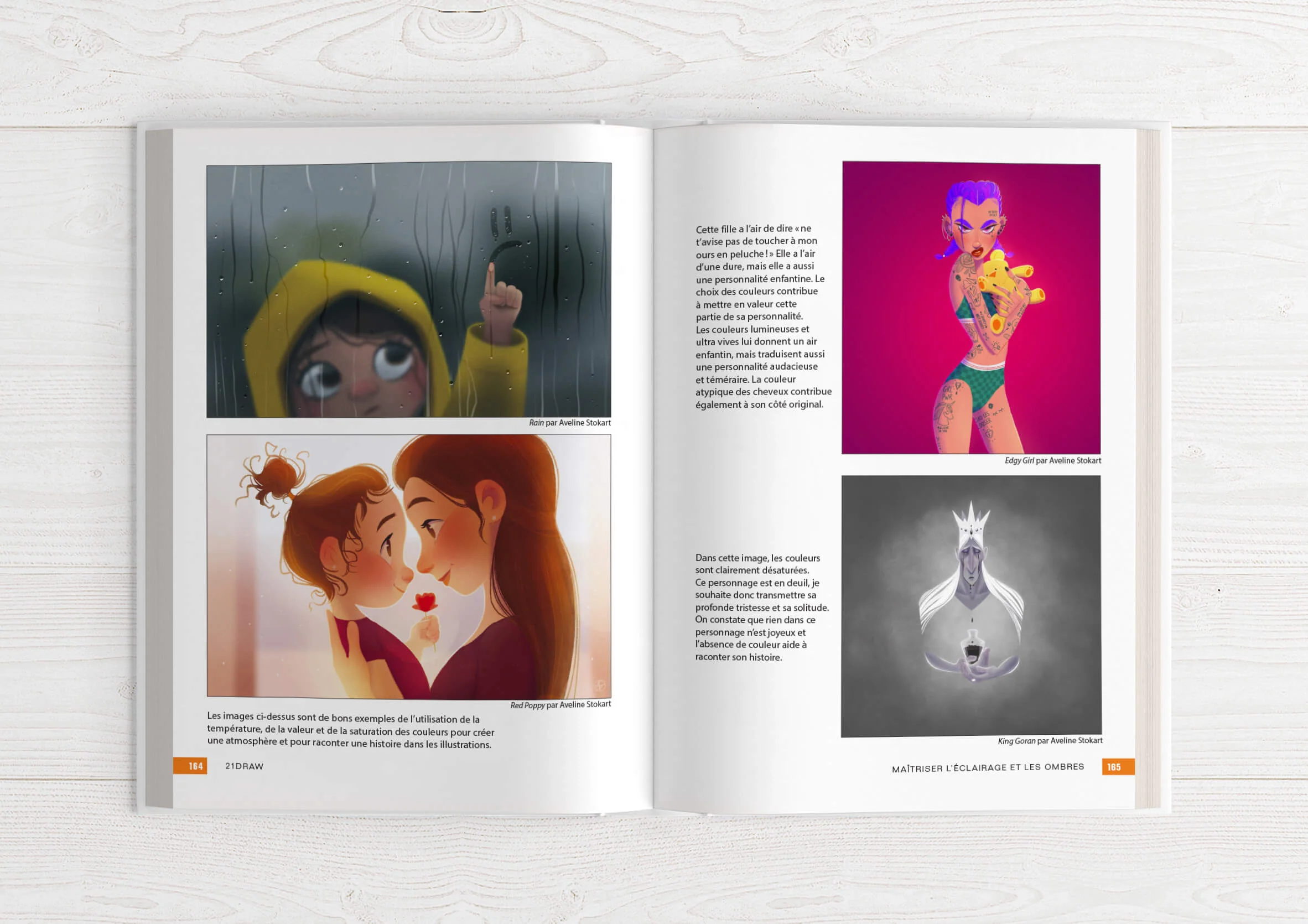 Le Manuel de l'illustrateur 1 et 2 - Image 20